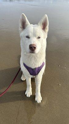 photo of Lingling H.