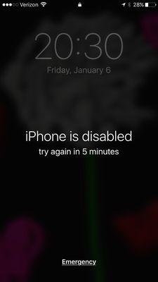 Photo of Marcelle B.