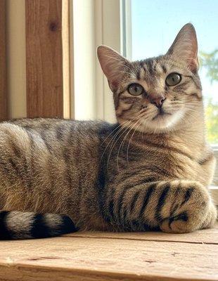 photo of Jennifer R.