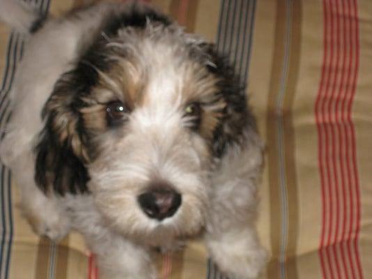 photo of Christina S.