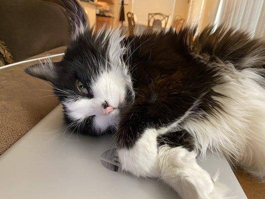 photo of Charleen K.