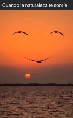 photo of Marketeen L.