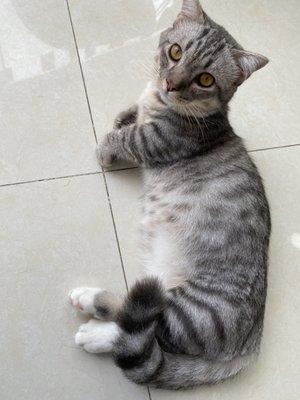 photo of J-chapel L.