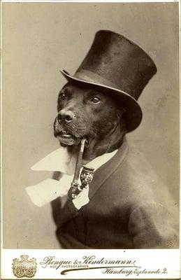 Photo of L. K.