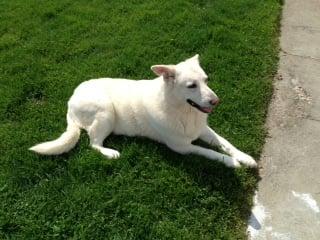 Photo of Jacqueline E.