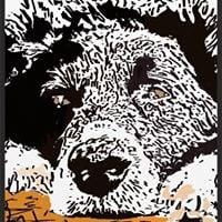 photo of Skeedaddle S.