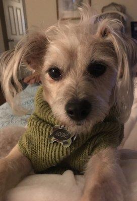 photo of Stephanie S.