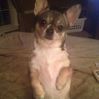 photo of Danielle D.