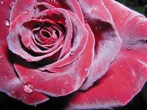 photo of Christina L.