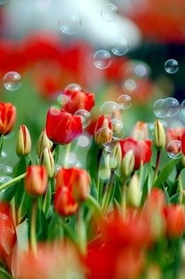 photo of Hye Chung R.