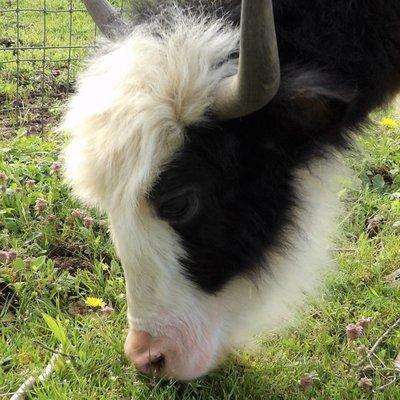 Photo of Tomme Marie T.