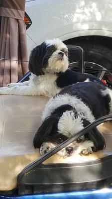 photo of Jo Linda S.