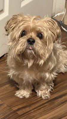 photo of Mc Twerk E.