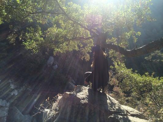 Photo of Cindy G.