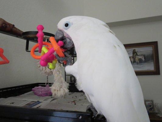 photo of Christine N.