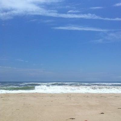 photo of Michelle P.