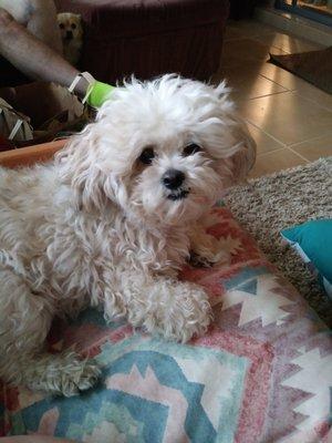 photo of Christine P.