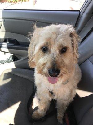 photo of Michelle G.