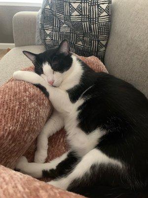 photo of Giovanna D.