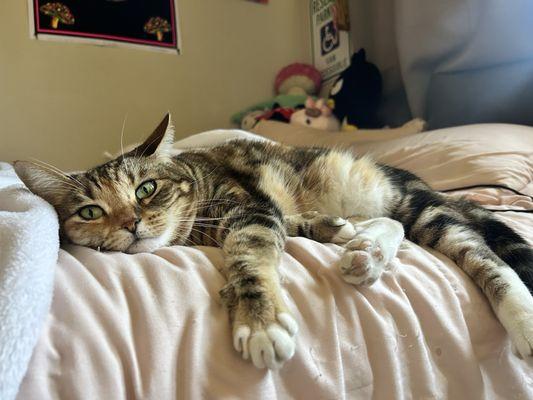 Photo of Mia M.