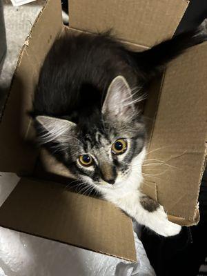 photo of Angelica I.