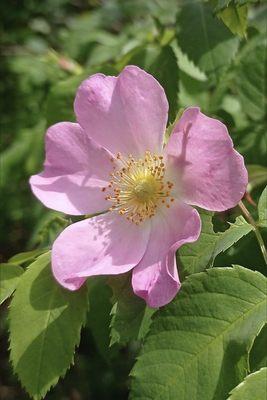 photo of Jennifer T.