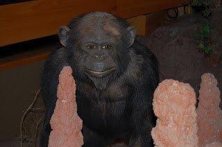 Photo of Hi H.