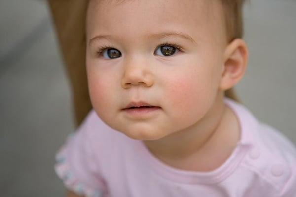 Photo of Stella's M.