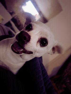 Photo of Bianca P.