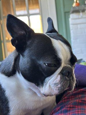 photo of Michelle K.