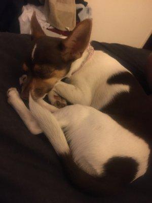 photo of Starbrina C.