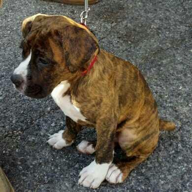 photo of Some Random Guy W.