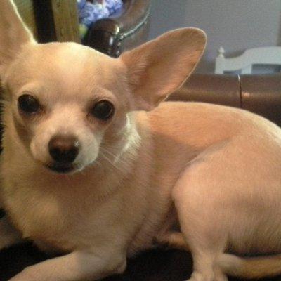 Photo of Jacqueline P.