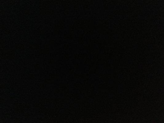 Photo of Tiffani L.