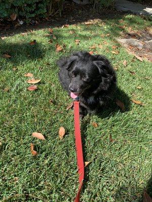 photo of Samantha S.