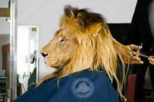 photo of Naginder S.