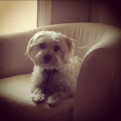 photo of Brittany A.