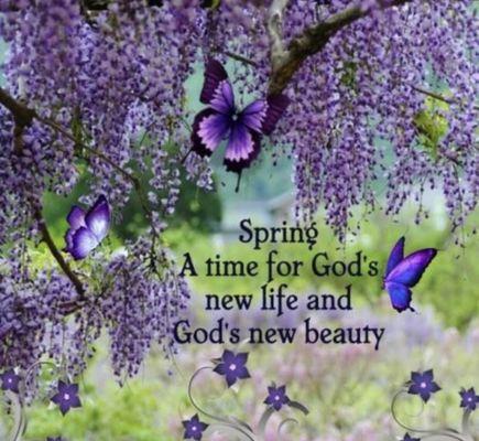 Photo of Chelsea's F.