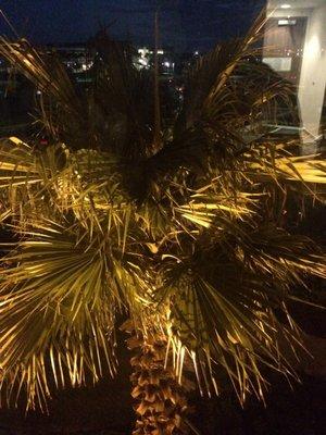 photo of Mitchell B.