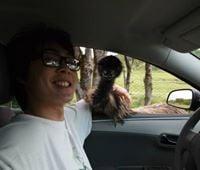 Photo of Kevin Y.
