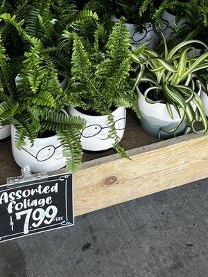 Photo of A O.