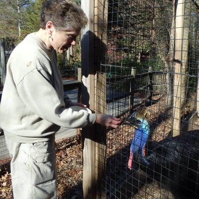 photo of Stephanie S.