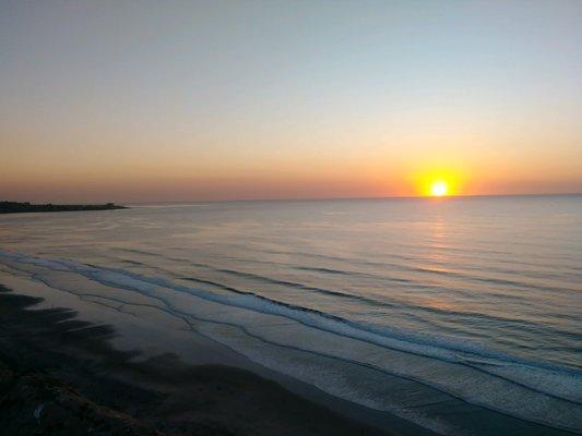 photo of Amberfawn S.