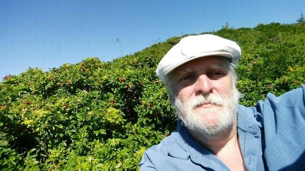 Photo of steve k.