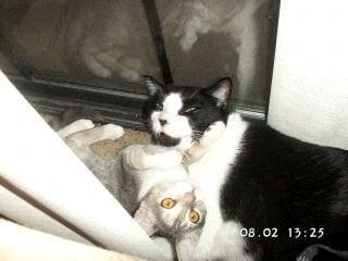 photo of Jennifer L.