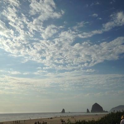 photo of Michelle T.