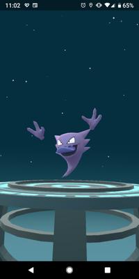 photo of Francisco S.