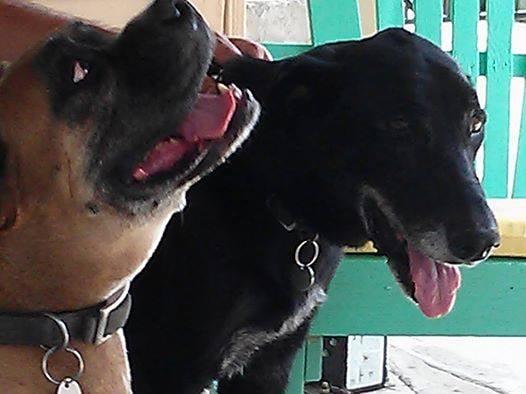 photo of Charlotte R.