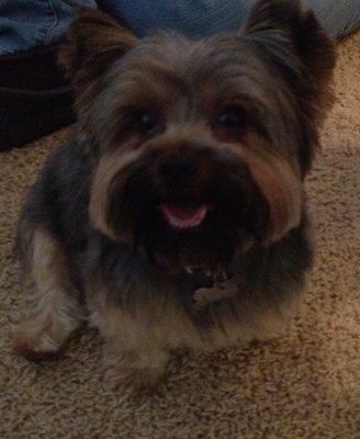 Photo of Montaiya J.