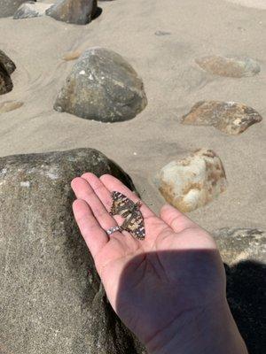 photo of Danielle E.